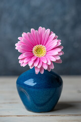 デイジーの花　マクロショット