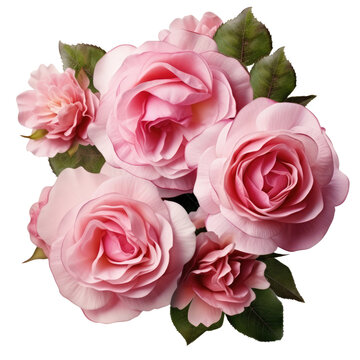 Pink rose flowers in a floral arrangement isolated on white or transparent background