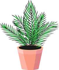 Palm plant in a pot. Plant for the home. Vector illustration.