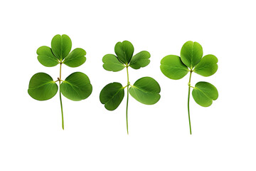 Shamrocks clover leaves St. Patrick's Day celebrating, Set clover shamrock and green clover leaf quatrefoil lucky, isolated on a Transparent background. Generative AI  