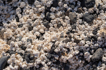 Playa de las Palomitas, Océano Atlántico, Fuerteventura, Islas Canarias