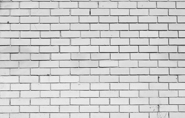 The background is a white brick wall