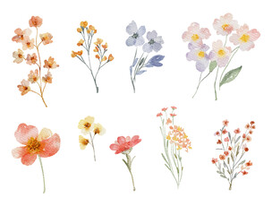 Watercolor floral set. Collection of wildflowers, leaves and branches. Hand painted isolated design elements. Botanical illustration for summer wedding design, greeting cards