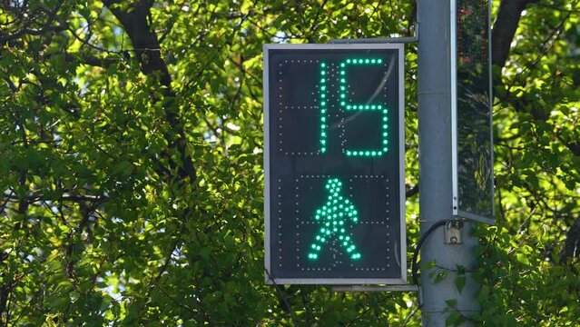 Hippodrome Burning Traffic Light for Starting Race. walking area. safety traffic. Count second