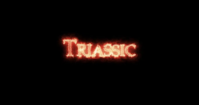 Triassic written with fire. Loop
