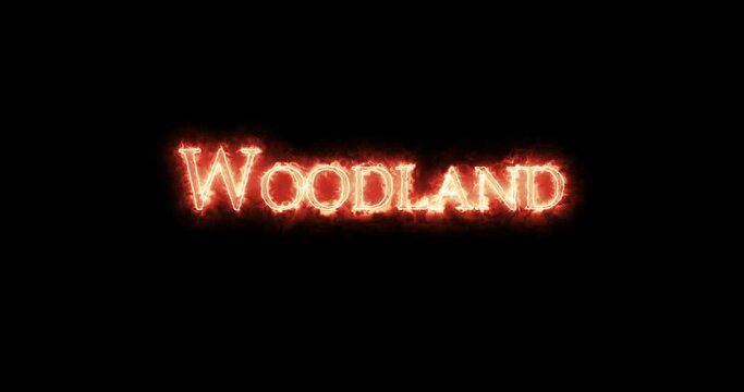 Woodland written with fire. Loop