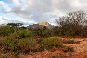 blue sky over the savannah of Africa