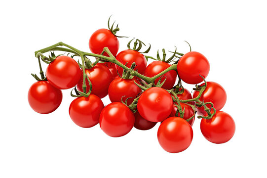 A closeup shot of delicious red tomatoes on a branch isolated on a Transparent background. Generative AI