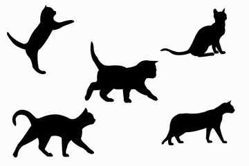 Cat collection - vector silhouette