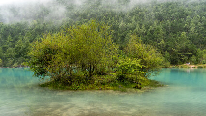 Naklejka na ściany i meble lake in the woods Lijiang China