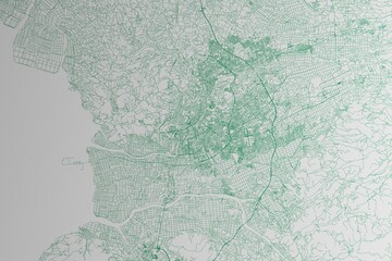 Map of the streets of Kumamoto (Japan) made with green lines on white paper. 3d render, illustration