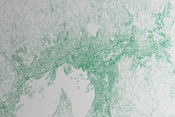 Map of the streets of Oslo (Norway) made with green lines on white paper. 3d render, illustration