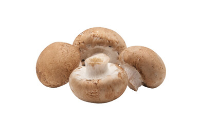 Group of 4 whole brown mushrooms isolated on a cut out PNG transparent background