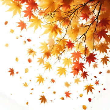 Image of maple leaves before the fall season. Background image. Transparent.