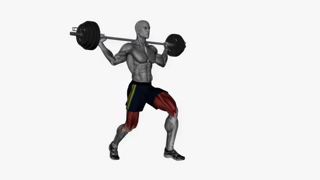 3D rendered animation of a model working out and lifting weights on the empty white background