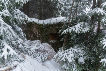 Abandoned concrete bunker hidden in snowy forest, behind branches. Orlicke hory, Czechia.