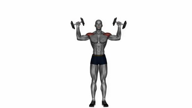 3D rendered animation of a model doing exercise with dumbbells on the empty white background