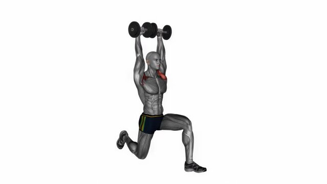 3d rendered animation of a shoulders exercise example on a white background