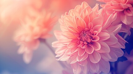 gorgeous flowers created using color filters