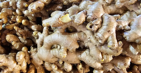 Bulk Fresh Ginger Roots at Market