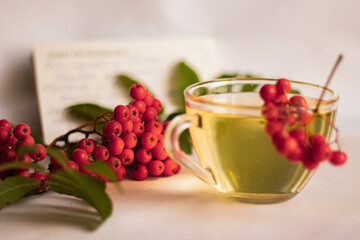 rowan berries warm autumn tea