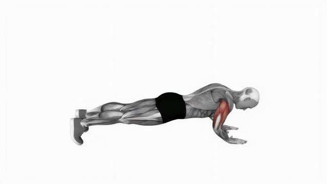 3D-rendered animation of a person doing the push-ups on the empty background