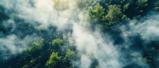 Top-down aerial drone wide view, bird's eye view, of a wildfire in the mountains, forest fire, caused by global warming and climate change. No fire or flames, only smoke - obrazy, fototapety, plakaty