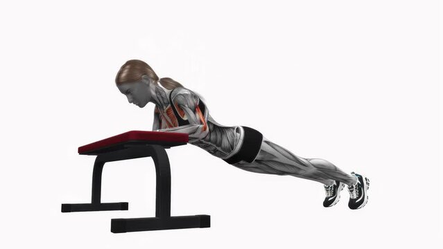 3D rendered animation showcasing the pushup exercise using a bench isolated on the white background