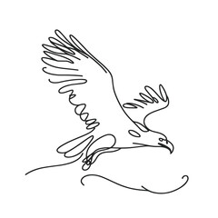 An eagle in a line drawing style