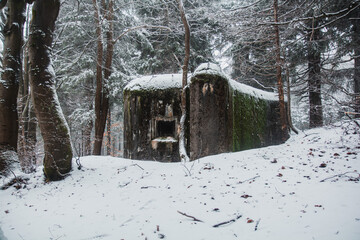 Winter forest with snow and concrete abandoned bunker. Orlicke hory, Czechia.