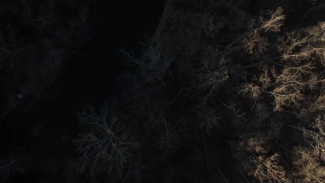 Aerial video of a dam and a river with leafless trees in the forest on the shore