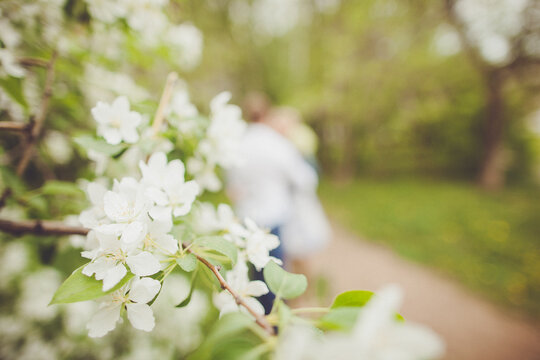 Blurry image of couple surrounded by flowers and plants in natural landscape
