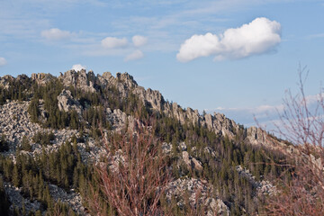 A natural landscape featuring a majestic mountain, trees, and clouds
