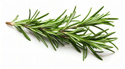 Fresh rosemary