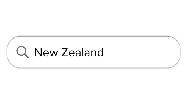 Www search bar icon with New Zealand text isolated on white background