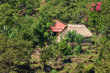 Picturesque wooden hut perched atop a lush and vibrant forest, surrounded by a sea of green foliage.