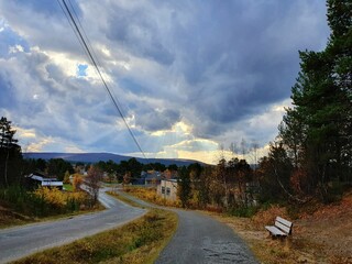Rural road with green trees against the background of a beautiful cloudscape. Finnmark, Norway.