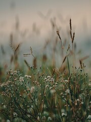 Selective focus shot of small wildflowers