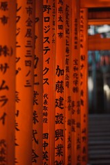 Vertical of orange torii gates with Japanese characters in Inari Shrine in Kyoto, Japan