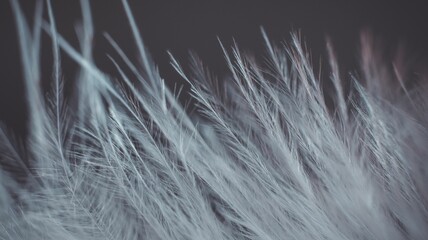 AI generated illustration of a close-up of a white feather with its delicate and intricate details