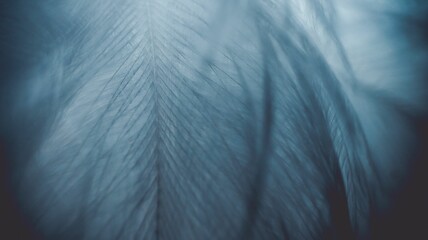 AI generated illustration of a close-up of a white feather with its delicate and intricate details - obrazy, fototapety, plakaty