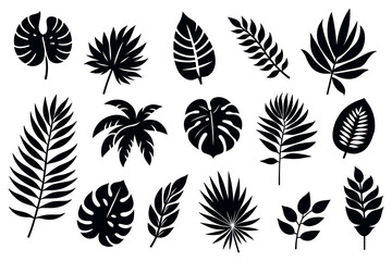 Collection of exotic leaves silhouettes. icon set. Vector illustration © YanaBerezh