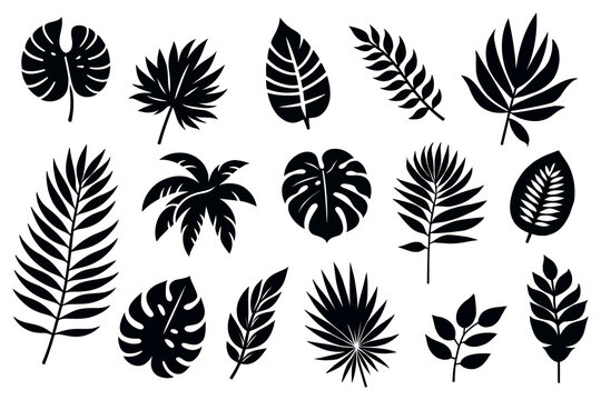 Collection of exotic leaves silhouettes. icon set. Vector illustration