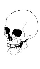 calavera blanca para colorear