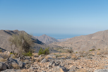 A green valley in the Harim desert mountains of Musandam. Oman