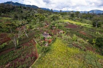 Fototapeta na wymiar Village huts surrounded by lush greenery. Goroka, Eastern Highlands Province, Papua New Guinea.