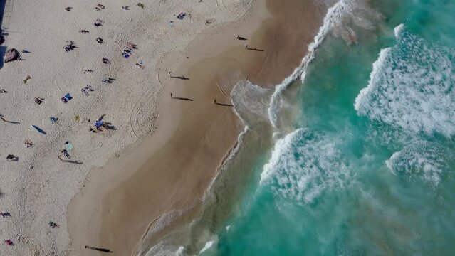 Drone view over splashing sea waves on a sandy beach with wood trees