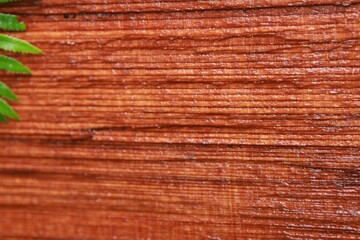 Close-up of a wooden surface, with a leaf nearby