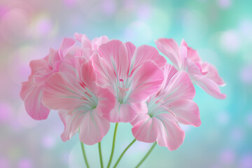 A cluster of delicate pink flowers set against a soft, multicolored bokeh background