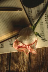 Vertical shot of a single rose sits atop a piece of sheet music
